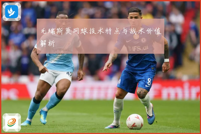 毛瑞斯莫网球技术特点与战术价值解析