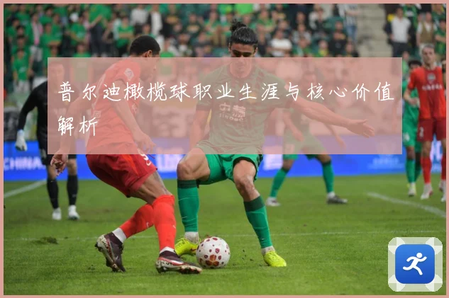 普尔迪橄榄球职业生涯与核心价值解析